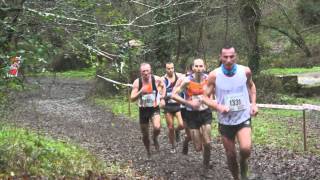 régionaux de cross 2014 à Couëron 44 vétérans [upl. by Kciremed]