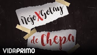 Ñejo  De Chepa ft Gotay El Autentiko Lyric Video [upl. by Melquist198]