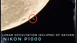 Lunar Occultation Eclipse of Saturn  Nikon P1000 Mega Zoom [upl. by Lobell]