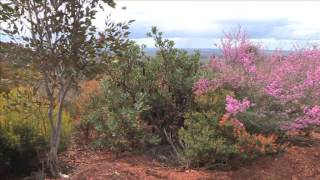 Remote and Rugged  Part 1 of a documentary about the southcoast of Western Australia [upl. by Ramled]