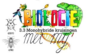 4HV  33 Monohybride kruisingen [upl. by Alleuol]