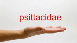 How to Pronounce psittacidae  American English [upl. by Eninahs681]