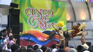 Cinco De Mayo 2014 Japan シンコ・デ・マヨ・フェスティバル 2014 東京会場 代々木公園 [upl. by Iadrahc297]