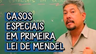 Casos Especiais em Primeira Lei de Mendel  Extensivo Biologia  Descomplica [upl. by Onairpic]