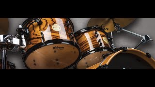 ddrum Dios Zebrawood Kit Metal Demo [upl. by Dammahom]