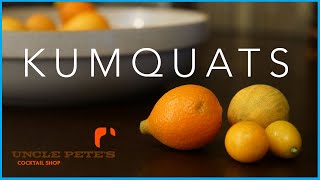 How To Make Kumquat Cordial OR Shrub [upl. by Holt605]