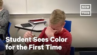 Student Sees Color for First Time With EnChroma Glasses  NowThis [upl. by Nannahs]