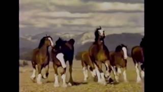 Top 10 Budweiser Super Bowl commercials 1 [upl. by Connor738]