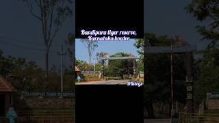 🐯🐅Bandipura hill stationBandipura tiger reserve forestKarnatakaytshortsviralvideotravelvlog [upl. by Asiaj]