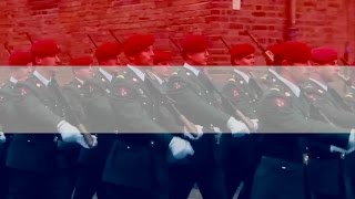 Het Wilhelmus Anthem of the Kingdom of the Netherlands Patriotic Version [upl. by Grindlay574]