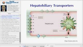 MECHANISTIC INSIGHTS INTO HEPATOTOXICITY [upl. by Channa939]