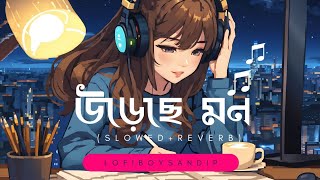 Ureche Mon Slowed  Reverd Arijit Singh Shreya Ghoshal  Lofi boy sandip [upl. by Virgie]