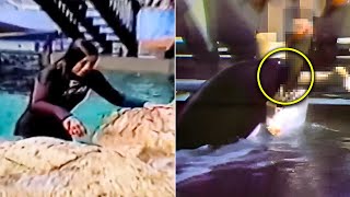 The Tragic Killer Whale Attack On Tamarie Tollison Actual Footage [upl. by Bakki]