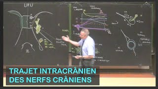 tumeurs de lœil et ses annexes ophtalmologie [upl. by Naynek777]