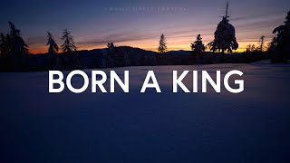 Stephen McWhirter  Born A King Lyrics [upl. by Nahgem]