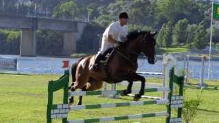 Hipismo Concurso de Saltos Nacional de Abrantes 2013 [upl. by Eetsirhc]