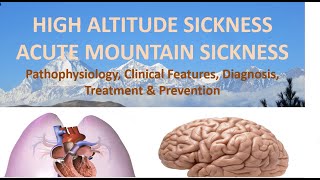 Altitude Sickness  Acute Mountain Sickness  High Altitude Pulmonary Edema  Respiratory Lecture9 [upl. by Stewardson]