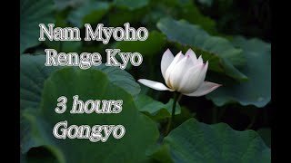 Miracle Gongyo  Very Fast 3 Hrs Nam Myoho Renge Kyo [upl. by Haeli]