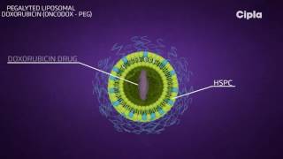 Liposomal technology [upl. by Leisha12]