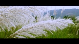 ente gramam എന്റെഗ്രാമം malayalam music video kavitha [upl. by Ylime97]