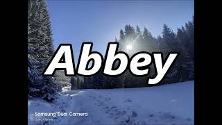 ABBEY as a surname origin meaning [upl. by Omrellig]