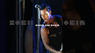 Смысл Stein um Stein Rammstein за 40 секунд performance rammstein смысл [upl. by Eniamzaj40]