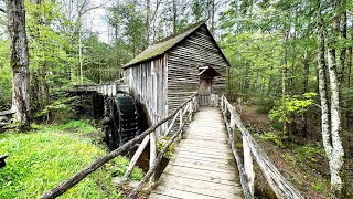 Cades Cove TN amp Smoky Mountains National Park [upl. by Namrak]