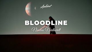 Nicolas Neidhardt  Bloodline [upl. by Urson287]