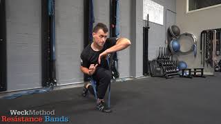 Resistance Band Lunges  BodyWeight Lunges Using Limit Force Elastics® Resistance Band Workout [upl. by Leak387]