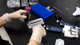 Video protocol DPPH assay [upl. by Calabrese]