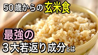 【最新版】玄米が糖化予防・免疫力・骨と血管の若返りに有効な理由を解説します [upl. by Ahsenev757]