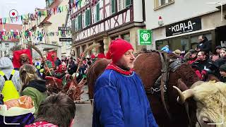 Narrentreffen in Sigmaringen [upl. by Cornelle]