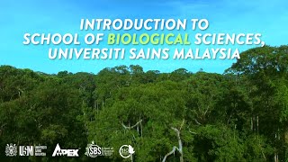 School of Biological Sciences Universiti Sains Malaysia [upl. by Octavie]