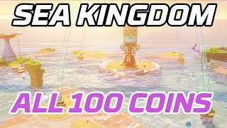 Super Mario Odyssey All Seaside Kingdom Coins 100 purple local coins [upl. by Anaeg]