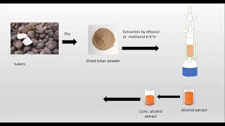 Isolation and identification Diosgenin from Dioscorea [upl. by Etnaud]