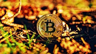 How many times do you need to do Gradual Integration in the Bitcoin Market  Tecnological Investment [upl. by Patrica369]