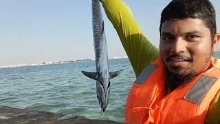 Hunting kingfish In Doha Qatar Shore fishing [upl. by Lotti]