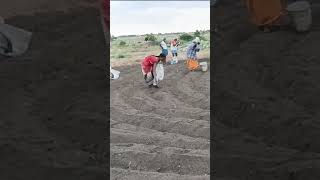 Biochar Compost Preparation  Mixing Easy Method biochar [upl. by Llegna]