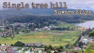 Single Tree Hill  Nuwara Eliya  Hidden Place  Hiking  Solo Travel  Sri Lanka  Ceylon Blogger [upl. by Reinald677]