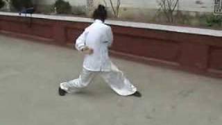 a kung fu masters amazing exercise [upl. by Odanref]