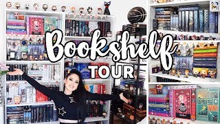 ✨BOOKSHELF TOUR✨ [upl. by Chipman]