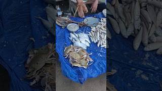 Peethalu sea crabs sea peethalu crabs fishes shorts telugu indianshorts youtubeshorts [upl. by Maurey617]