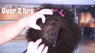 ASMR Scalp Check and Treatment on AfroKinky Hair Compilation  Scalp Massage Dandruff Removal [upl. by Nahtonoj315]