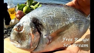 BEST Sea Salt Crusted Free Range SEA BREAM  Cooking on the Beach [upl. by Aicatan]