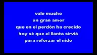 vale mas un buen amor vicente fernandez karaoke240p H 264 AAC [upl. by Ecinrev]