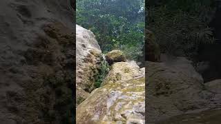 Antong Falls Sison Pangasinan 💚⛰️galeros fyp shorts reels [upl. by Nelie]