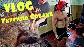 VLOG ● СОБАКА УКУСИЛА ЗА РУКУ  ДВА ДРЫЩА В КАЧАЛКЕ [upl. by Dnomar29]