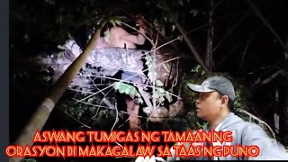 SA WAKAS NAHULI NA ANG ASWANG NA WAKWAK NASA TAAS NG ARASTELIS [upl. by Natala]