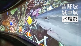 Aquaria KLCC 吉隆坡城中城水族館 [upl. by Jessika]