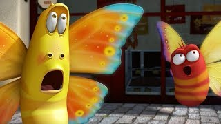 LARVA  THE BUTTERFLY  Cartoons For Children  LARVA Full Episodes [upl. by Nylrebma398]